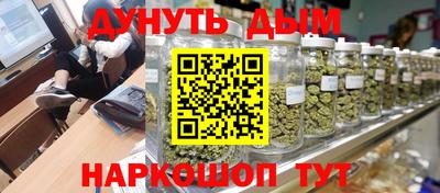 сатива Лесосибирск