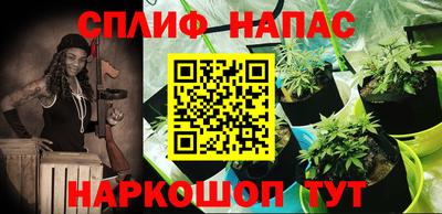 сатива Лесосибирск