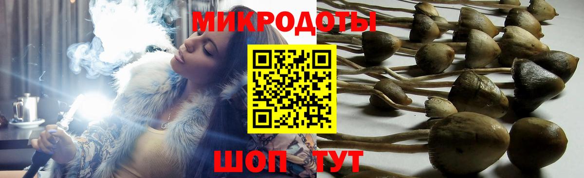 Галлюциногенные грибы Magic Shrooms Долгопрудный